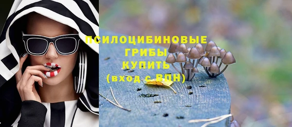 прущий лед Елабуга