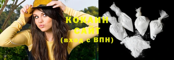 ешки Ельня