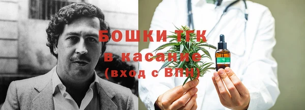 ешки Ельня