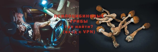 apvp Елизово