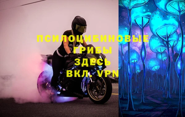 apvp Елизово