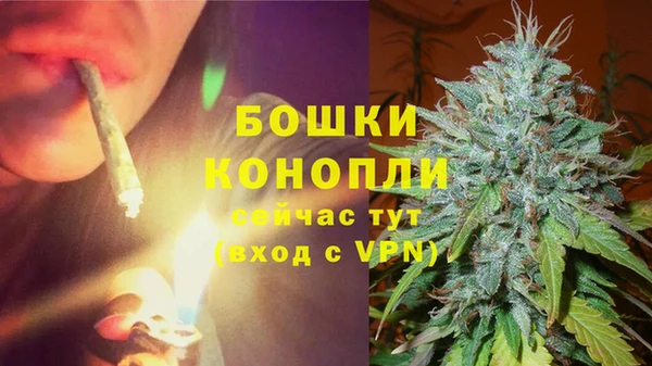 ешки Ельня