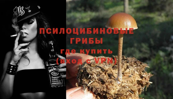 apvp Елизово