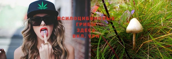 ешки Ельня