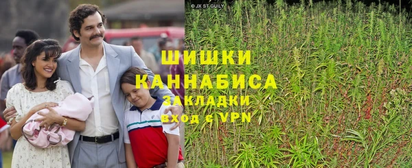 ешки Ельня