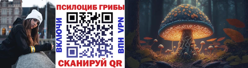 Псилоцибиновые грибы Magic Shrooms  Купить  Карабулак 