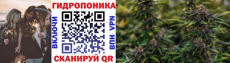 Купить закладки  Карабулак  Шишки марихуана THC 21% 